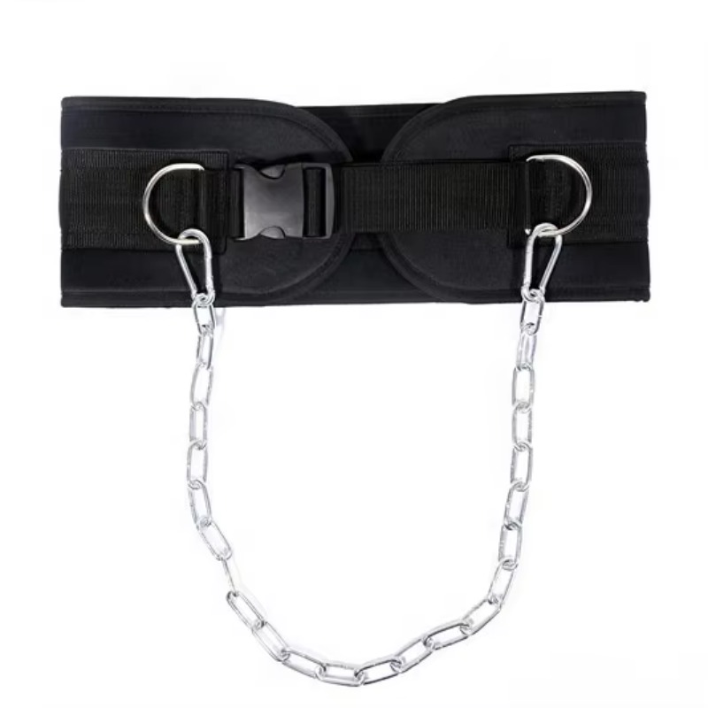 Exercise Equipment Heavy Chain - Weight Lifting Belt 评论和价格