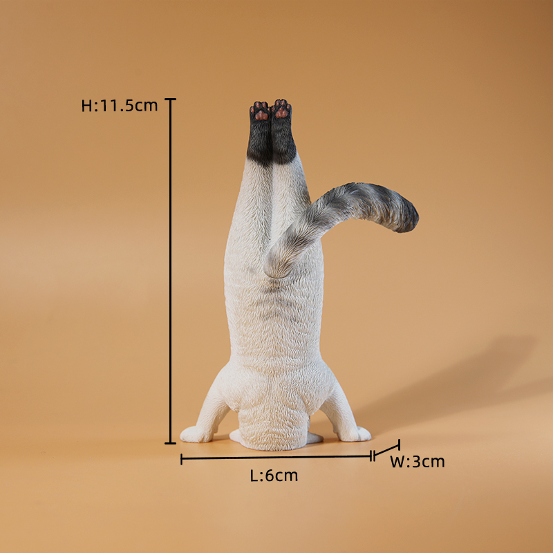 1/6 Scale Mini Simulated Fitne - Yoga Fitness Tva 评论和价格