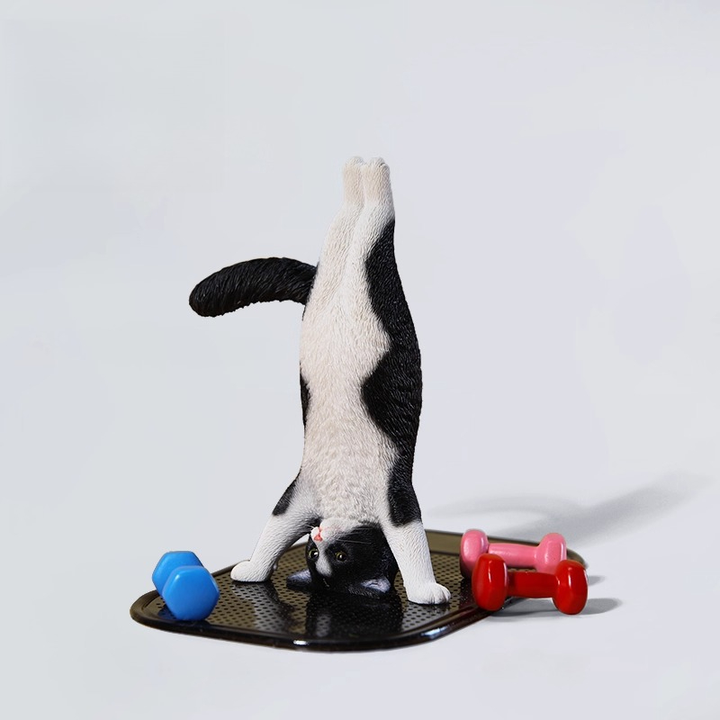 1/6 Scale Mini Simulated Fitne - Yoga Fitness Tva 评论和价格